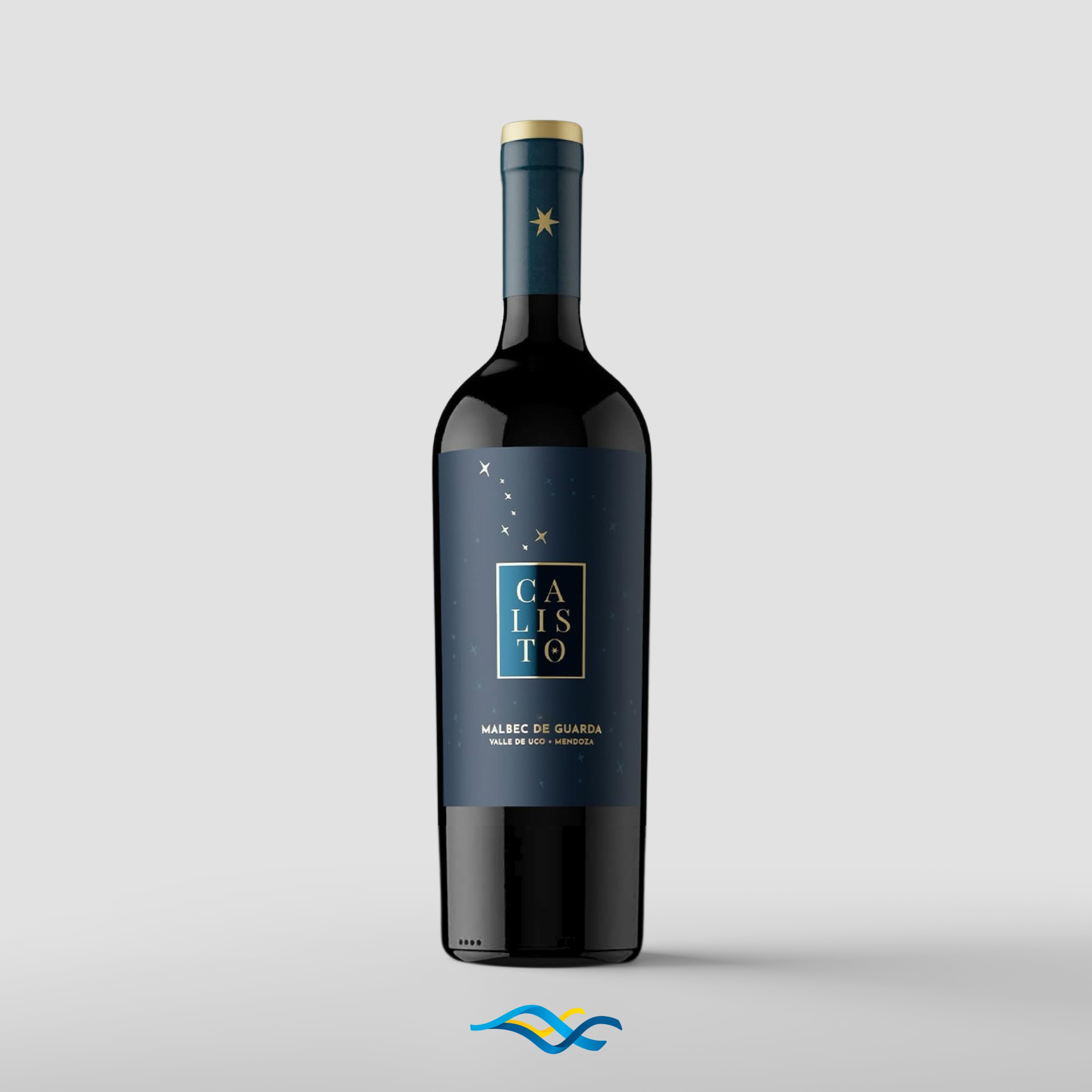 Calisto Malbec de Guarda 2019