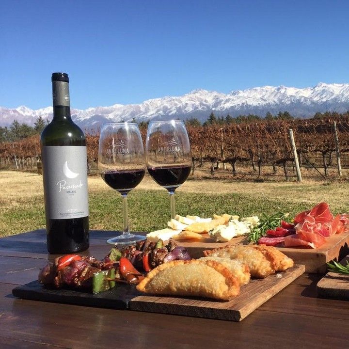 Explora los Vinos Argentinos de Mayor Calidad en Estados Unidos